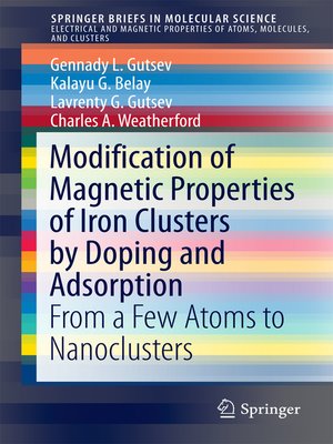 cover image of Modification of Magnetic Properties of Iron Clusters by Doping and Adsorption